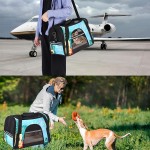 Aloha Sac de transport pour animal domestique avec motif aquarelle et guitare souple pour chats chiens chiots transport confortable portable et pliable approuvé par les compagnies aériennes