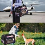 Sac de transport pour animal domestique Dragon Bateau au crépuscule Sac de transport souple pour chats chiens chiots Confortable portable et pliable approuvé par les compagnies aériennes