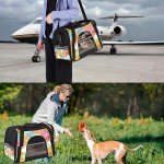 Sac de transport pour animal domestique Rose cerise Doux Pour chats chiens chiots Confortable portable et pliable Approuvé par les compagnies aériennes