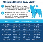 PetSafe Harnais Easy Walk avec boucle Anti-Traction et laisse de 1,8 m promenade confortable pour vous et lui 4 points de Réglage – Résistant facile à mettre et enlever – Rouge taille M