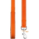 Taglory Laisse de Dressage réfléchissante pour Chien poignée rembourrée en néoprène et Crochet en métal 1.8m x 2.0cm Laisse en Nylon pour Petits Chiens Orange