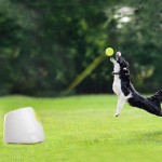 All For PAWS Hyperfetch Jouet de lancer de balle interactif automatique pour chien jeu de tennis pour dressage de chien 3 balles incluses style mini avec adaptateur européen