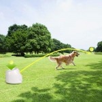 All For PAWS Hyperfetch Jouet de lancer de balle interactif automatique pour chien jeu de tennis pour dressage de chien 3 balles incluses style mini avec adaptateur européen
