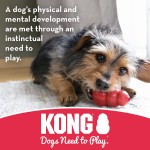 KONG Tires Distributeur de friandises pour chien à mâchoire puissante Pour Chien Moyen Grand