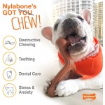 Nylabone Produit à mâcher résistant Dura os jouet à mâcher avec compartiment aromatique goût bœuf pour les gros chiens jusqu’à 23kg Chiens à mâchouillage puissant extrême