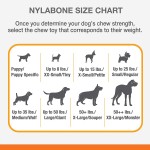 Nylabone Produit à mâcher résistant Dura os jouet à mâcher avec compartiment aromatique goût bœuf pour les gros chiens jusqu’à 23kg Chiens à mâchouillage puissant extrême