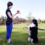 PETIZER Balle couinante pour chien Jouet à mâcher agressif 10,2 cm Indestructible et durable Balle à picots flottante en caoutchouc pour chiens de taille moyenne et grande