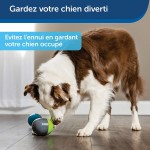 PetSafe Ricochet Jouet pour Chien Electronique 2 balles couplées interactives qui couinent Stimulation mentale portée de jeu jusqu’à 9 mètres à pile