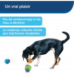 PetSafe Ricochet Jouet pour Chien Electronique 2 balles couplées interactives qui couinent Stimulation mentale portée de jeu jusqu’à 9 mètres à pile