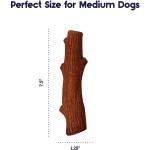 Petstages Bâton à mâcher pour chien Dogwood Mesquite bois véritable M