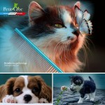Brosse chien brosse chat brosse pour chat brosse chien poil long coupe ongle chien coupe griffes chat coupe griffes chien coupe ongle chat brosse chat poil long peigne chat Pack toilettage