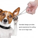 Pince pour animaux de compagnie en acier inoxydable Pince hémostatique Piercing oreille de chien pinces à cheveux extracteur avec pointe droite outils de toilettage pour animaux de compagnie