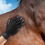 Bestbuy Gants de toilettage pour animaux de compagnie – Design amélioré à cinq doigts Gant en caoutchouc Brosse douce pour démêler les poils des chats chiens et chevaux Noir