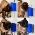 Huuiy Brosse d’angle de toilettage et massage pour chat avec herbe à chat 12,7 x 8,5 x 4,7 cm Produits pour animaux de compagnie