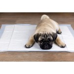 Lot de 100 tapis hygiéniques pour animaux de compagnie + sac à déjections canines 40 x 60 cm