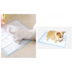 YUACY Tapis de dressage absorbant pour animal domestique tapis de dressage pour chiot litière pour chien chiot pour la maison taille S