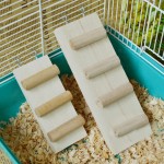 Échelle d’escalade à mordiller en bois dotée de trois quatre échelons pour hamster syrien gerbille rat petit animal à installer dans une cage