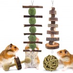 ERKOON Lot de 12 jouets à mâcher pour hamster gerbille rat cochon d'Inde chinchilla accessoires en bois naturel haltères d'exercice à cloche lapins perroquets syriens
