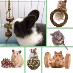 Fatiya Lot de 15 jouets en bois de pommier pour petits animaux Jouets à mâcher pour hamsters rats chinchilla Jouets pour animaux de compagnie Accessoires naturels biologiques 15 pièces