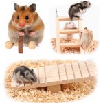 N&A Lot de 11 jouets à mâcher pour hamsters lapins gerbilles rats cochons d'Inde chinchillas haltères en bois naturel cloches d'entraînement soins dentaires jouets Molar