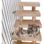 Petit Animal en Bois Échelle Plateforme Pont de La Cage Pont D' Habitat de Cobaye D' Escalade D' Escalade pour La Lapin Hamster Lapin Squirrel Hedgehog Chinchilla Rat Souris