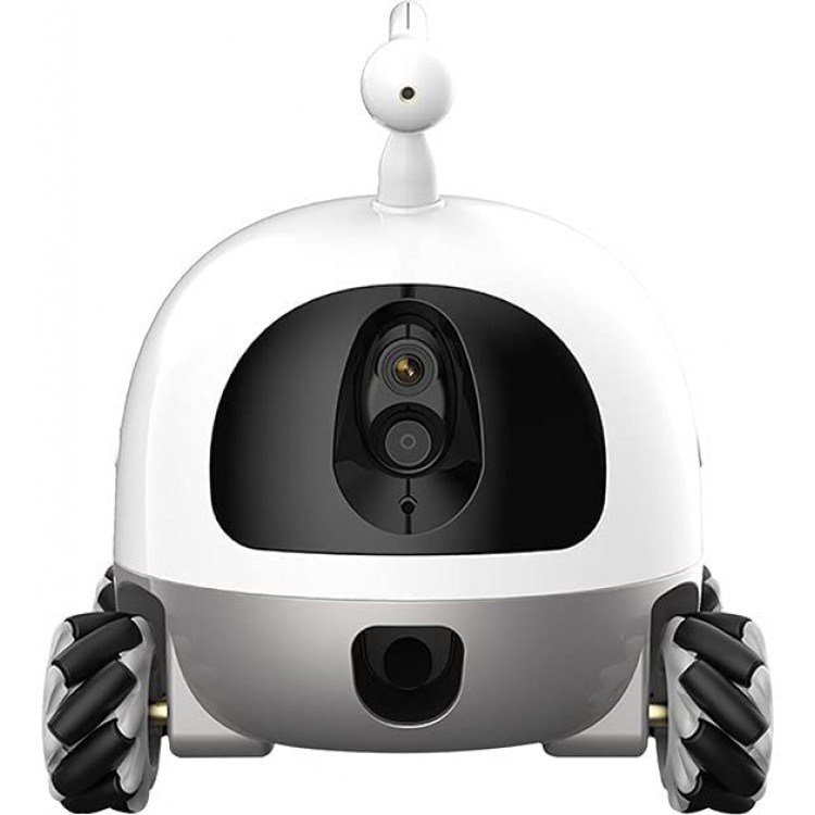 Rocki Pet Robot Jouet pour Chats et Chien Robot Connecté