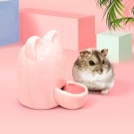 Hamster Gourde en céramique Distributeur automatique d'eau pour cochon d'Inde hamster avec gamelle en céramique pour hamster chinchilla cochon d'Inde hérisson oiseau rose