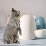 VILLCASE Mangeoire automatique en céramique avec oreilles de chat pour hamster lapin chinchilla hérisson 100 ml
