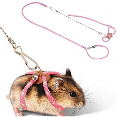 DXQDXQ Harnais for Petit Animal de Compagnie Réglable Souris Rat Hamster Harnais Corde for Hamster Laisses Collier Plomb for Rat Souris de Fournitures Animaux Plein Air Color : Pink
