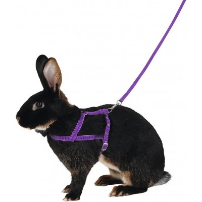 Kerbl Agility Harnais Lilas Taille L