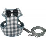XIAN Ensemble harnais et laisse pour petit chien et chat avec nœud en maille rembourrée confortable couleur : gris taille : L