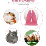 balacoo Roue d'exercice pour hamster : petits animaux roues transparentes balle d'exercice pour rats gerbil guinée cochons souris