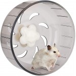 DERCLIVE Roue d'exercice super silencieuse en plastique acrylique pour petits animaux de compagnie hamster cochon d'Inde