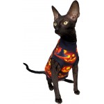 Kotomoda T-shirt pour chat Luciano Halloween pour Sphynx et chats nus XL