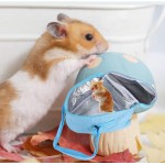 Portable Hamster Transporteur Triangulaire Bleu Clair Respirant Cochon d'Inde Transporteur Petits Animaux Sac de Transport pour Voyage Utilisation
