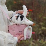 Sunydog-Sac de Transport pour Hamster Petit Sac de Transport pour Animaux Sac de Voyage Portable pour Hamster Lapin écureuil cochons d'Inde Souris