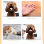 EuBaifeng Brosse à démêler pour animal domestique – Poils de toilettage pour chiot chaton chien Massage et retrait des poils morts tapis emmêlés