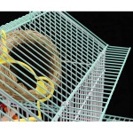 Cage à Oiseaux Cage d'oiseau Perroquet Grande Villa Petit Oiseau Cage Cage de Toit métal Cage ornemental Volière Size : M
