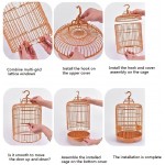 Cage à Oiseaux Petite cage d'oiseau en plastique petite cage pinch oiseau perle canari cage à oiseau suspendu cage oiseau ornemental for petit perroquet amour oiseau Cage Oiseau Color : A
