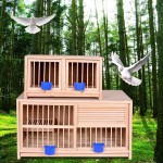Cages Pigeon à Pigeons d'élevage d'oiseaux de pin appariée de Pigeon Voyageur à Oiseaux à Porte Rabattable Base débrochable Color : Wood Color Size : 60 * 30 * 35cm