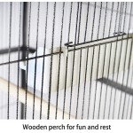 Kavolet Cage Oiseau Cage de volière Voliere Exterieur Cage à Oiseaux en métal Grande capacité Facile à Nettoyer pour perroquets d'oiseaux de Compagnie Cockatiel 52 * 52 * 159cm