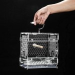 LZQBD ZENGQIANGJING Cages cagettes Parrot Plats à emporter Oiseau Civil Cages Portable Petit Oiseau Cage Parrot Cages élevage