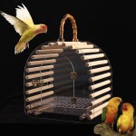 Volière Cage de voyage oiseau petit oiseau transportant cage de transport transparent respirant pour les petits oiseaux exotiques et le canari de BUDGIE Le nid d'oiseau Taille : 29*22.5*30cm
