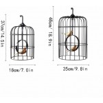 Cage de cage d'oiseau Cage d'oiseau en fer forgé créatif créatif avec poignées Dôme accessoires Les cages d'oiseaux peuvent être utilisées à l'intérieur et à l'extérieur Produits d'animaux de compagni