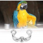 Qiraoxy Anneau de pied en métal pour oiseaux perroquets accessoires d'entraînement à la mouche pour oiseaux de petite moyenne et grande taille