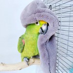 tiantianchaye Couverture d'hiver chaude pour perroquet ou animal de compagnie