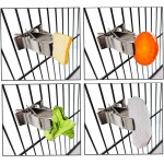 3 Pcs Porte Nourriture pour Oiseaux Mangeoire À Oiseaux pour Perroquet Pince de Nourriture pour Petits Animaux Porte Fruits Oiseaux Porte légumes