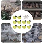 Atyhao Distributeur d'eau pour Oiseaux 10 Pièces PP Abreuvoir Automatique pour Pigeons Grande Capacité Abreuvoir pour Volaille pour Perroquets Pigeons pour Oiseaux de Compagnie