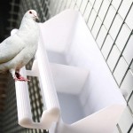 ColorfulLaVie Pet Perroquet Cage À Oiseaux Suspendus Épais Conteneur Alimentaire Mangeoire Abreuvoir