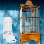 Molare Distributeur d'eau pour Oiseaux Mangeoires à Oiseaux automatiques sans gâchis pour Cage | Distributeur d'eau pour Oiseaux Sauvages pour Oiseaux